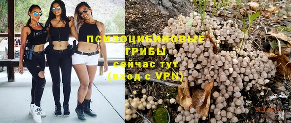 прущий лед Елизово