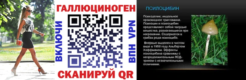 Галлюциногенные грибы Psilocybine cubensis Заозёрный
